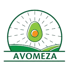 Logo Grupo Avomeza